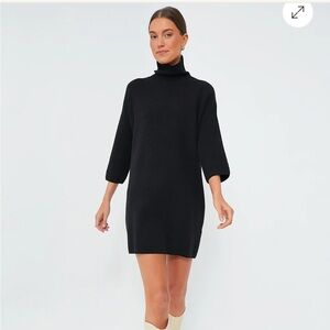 Tuckernuck turtleneck sweater dress